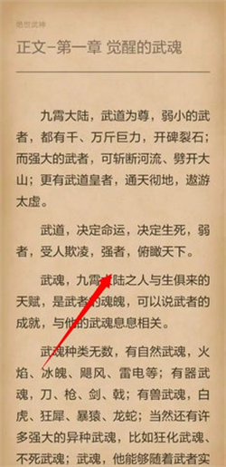 西梅小说