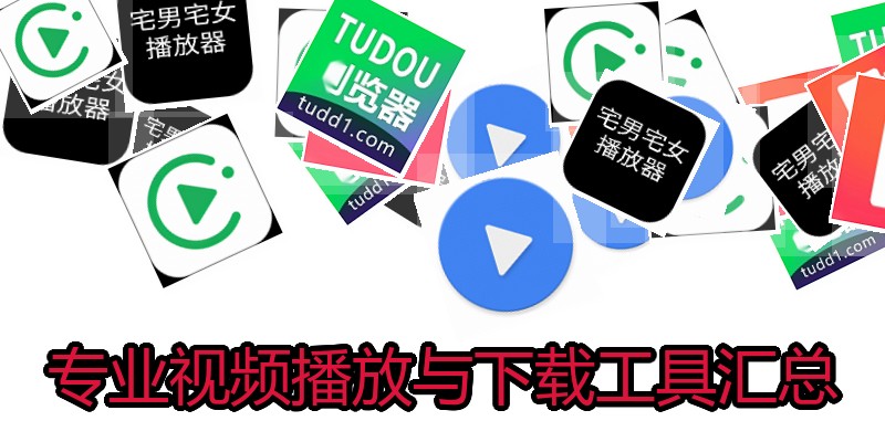 专业视频播放与下载工具汇总
