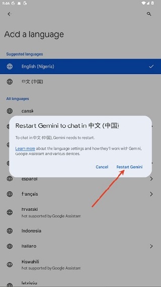 gemini3.0