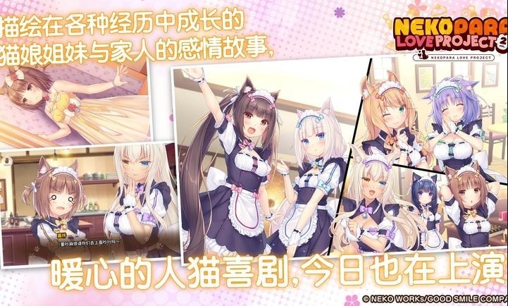 猫娘乐园2截图