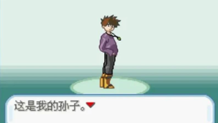 口袋妖怪圣灰(Pokemon Fire Ash)截图
