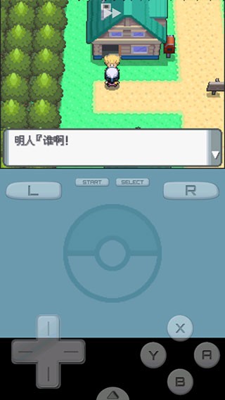 口袋妖怪珍珠截图