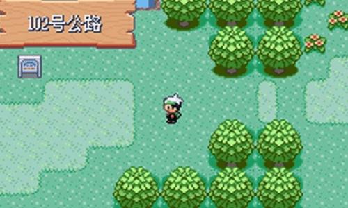 口袋妖怪究极绿宝石小智版