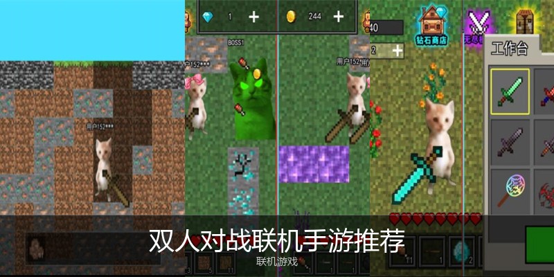 双人对战联机手游推荐