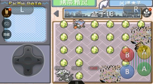 口袋妖怪究极绿宝石小智版截图