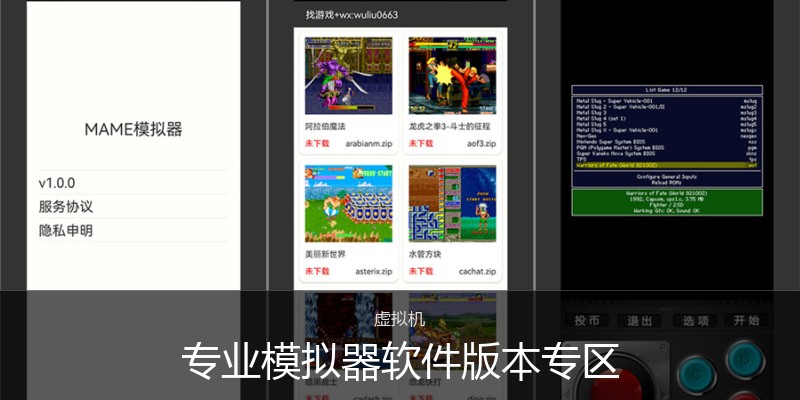 专业模拟器软件版本专区