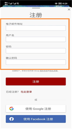 Windy卫星云图中文版