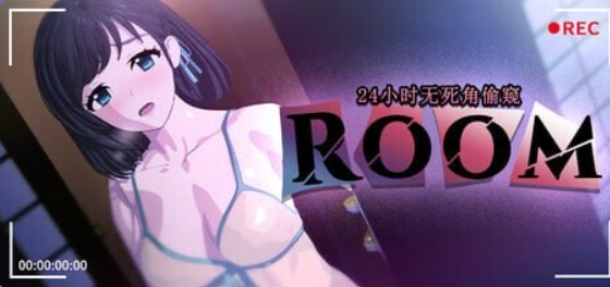 ROOM:24小时无死角偷窥游戏下载