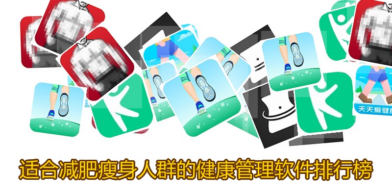 适合减肥瘦身人群的健康管理软件排行榜