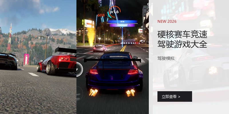 硬核赛车竞速驾驶游戏大全