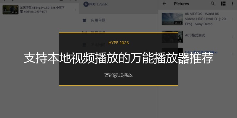 支持本地视频播放的万能播放器推荐