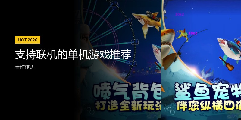 支持联机的单机游戏推荐