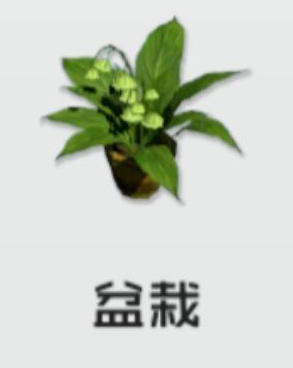 干物少女盆栽材料花盆种子洒水壶