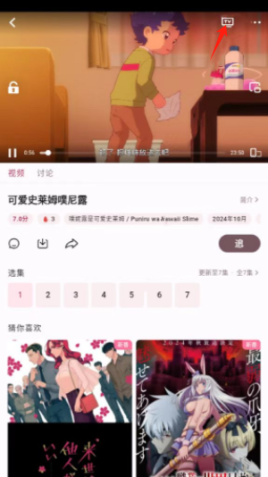 A次元追番 投屏入口