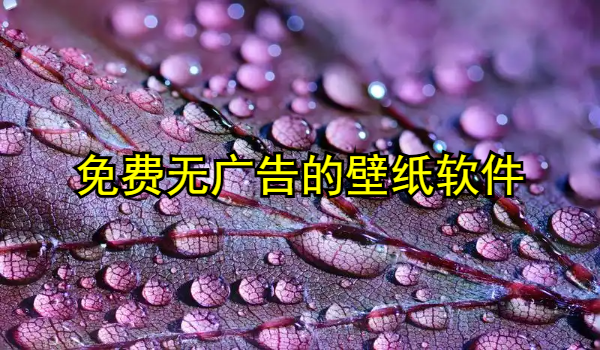 免费无广告的壁纸软件推荐