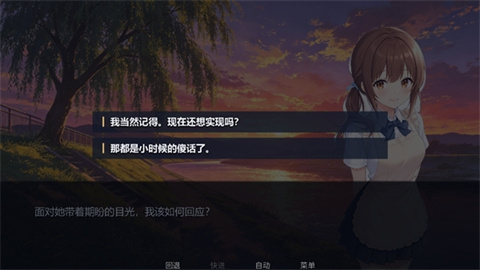 那天午后 存档提示