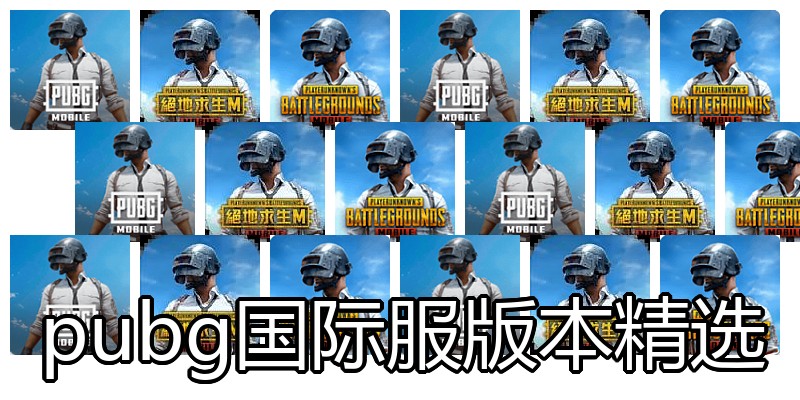 pubg国际服版本精选