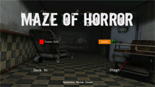 恐怖迷宫Maze Of Horror联机截图5
