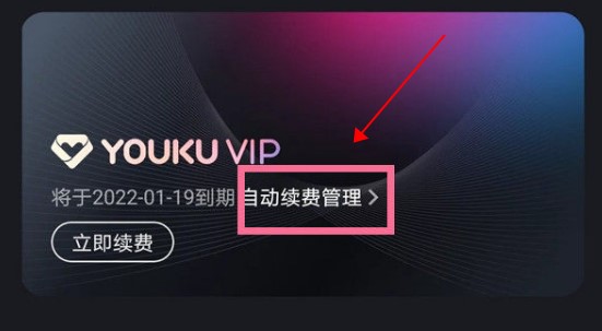 优酷国际版
