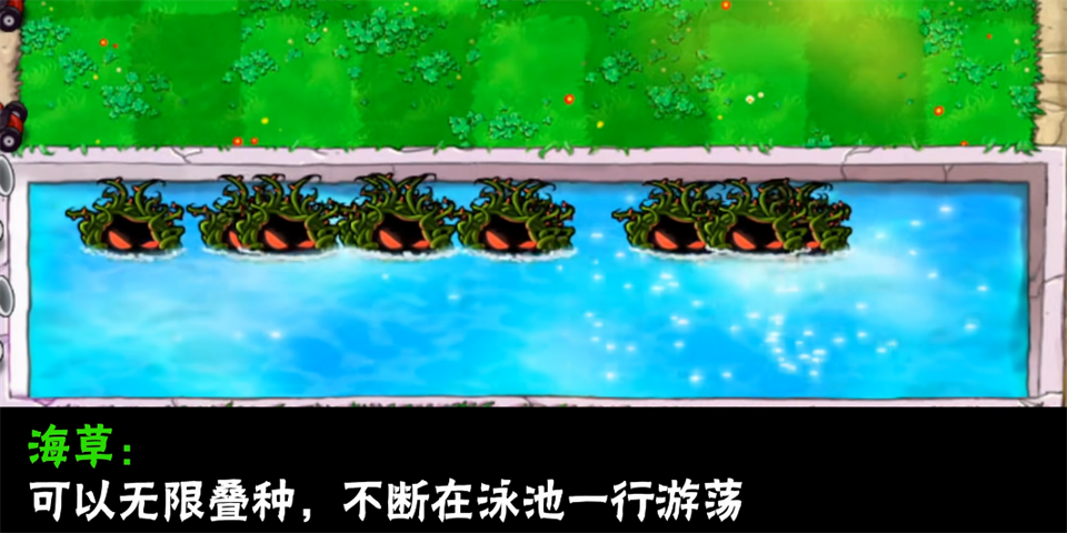 植物大战僵尸大哥版截图