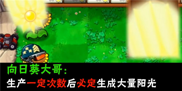 南瓜酱植物大战僵尸大哥版截图