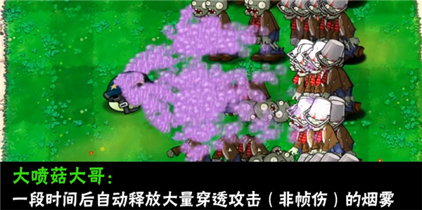 南瓜酱植物大战僵尸大哥版截图