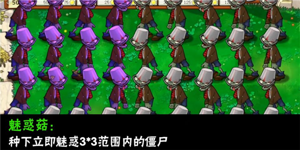 南瓜酱植物大战僵尸大哥版截图