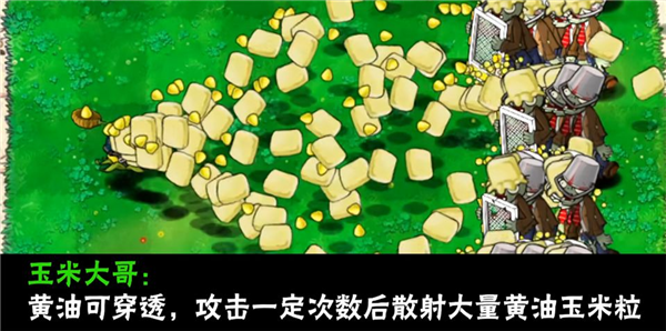 南瓜酱植物大战僵尸大哥版截图