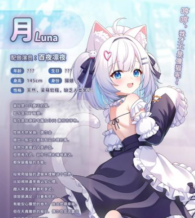 我家猫猫是女仆猫娘立绘