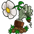 植物大战僵尸95噩梦版