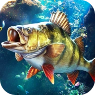 钓鱼大师