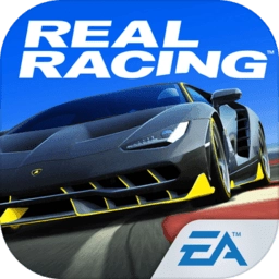 真实赛车3手机版下载-真实赛车3手机安卓版v1.1.0