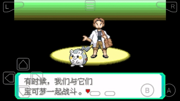 口袋妖怪究极绿宝石5.5图1