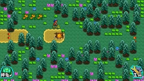 宠物王国4官方版图1