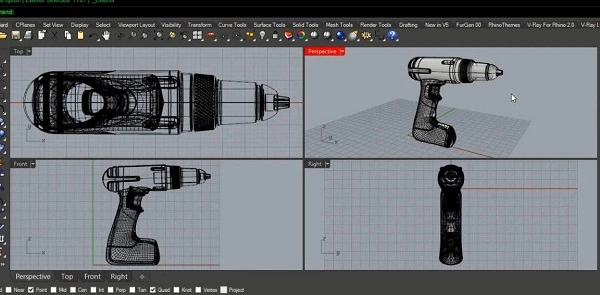 rhino(1)