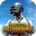 pubg官网版