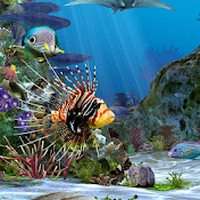 3d水族馆动态壁纸手机版