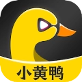 小黄鸭老版本