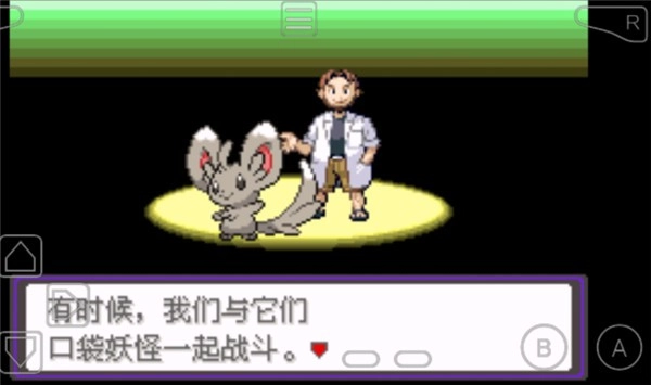 口袋妖怪漆黑的魅影5.0(1)