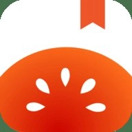 番茄手表版