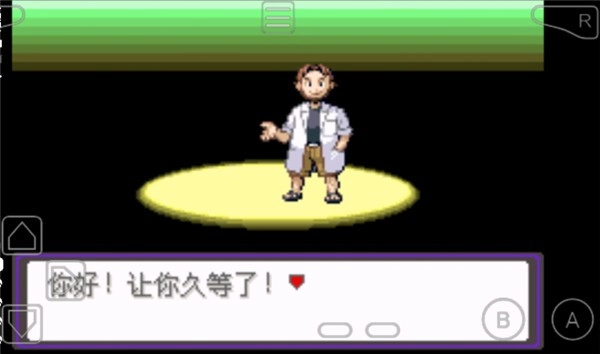 口袋妖怪漆黑的魅影5.0(4)