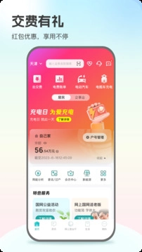 网上国网(2)