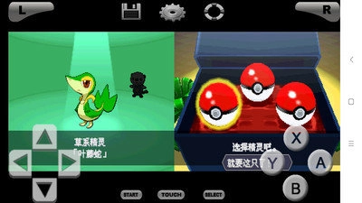 口袋妖怪黑白中文版(3)